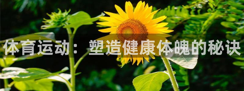 意昂官网注册