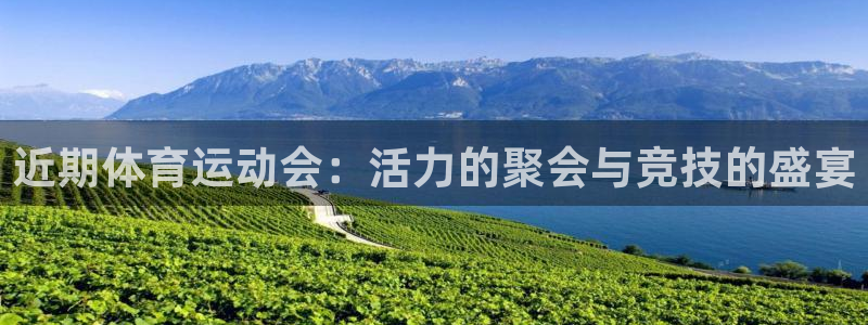 佛山市南海意昂机电仪器有限公司