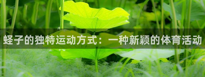 意昂4