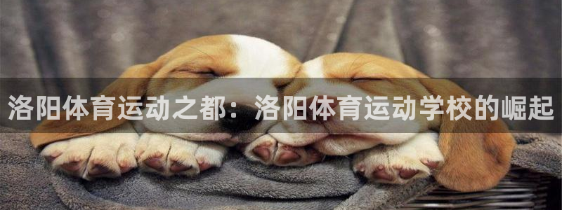 意昂2体育在线注册
