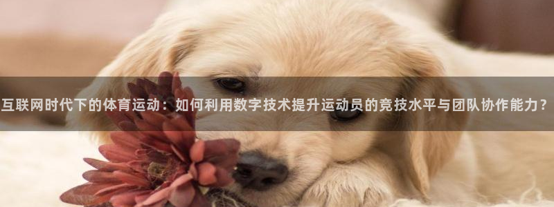 广州市意昂智能科技有限公司