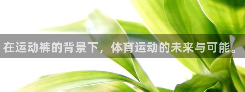 意昂2体育官网注册