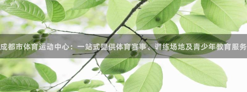 意昂2代理注册官网入口