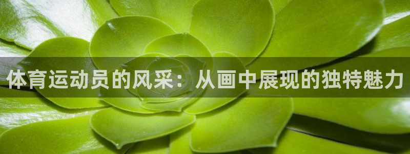 意昂5招商