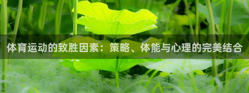 意昂2体育凯捷代理注册
