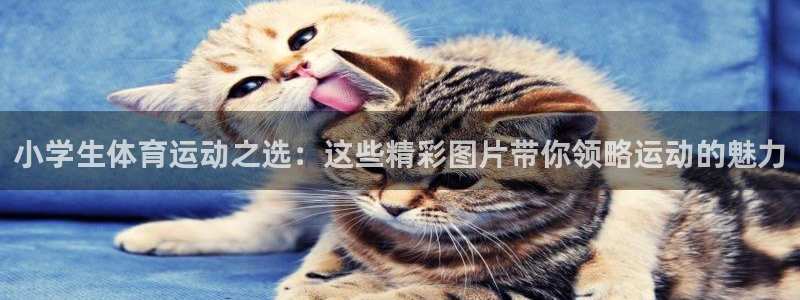 意昂24平台