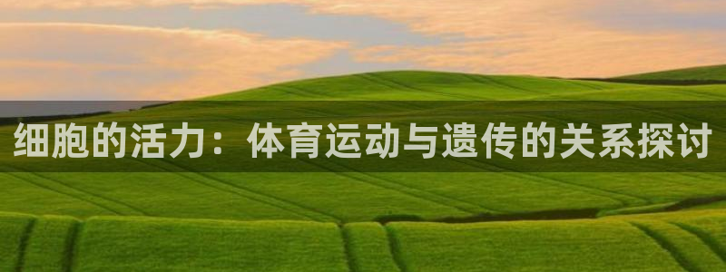 意昂2平台