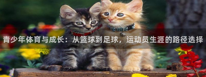 意昂集团股票